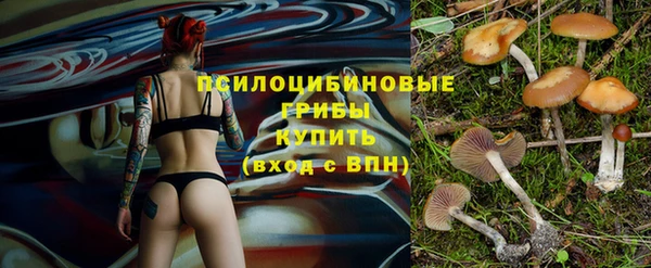 бошки Аркадак