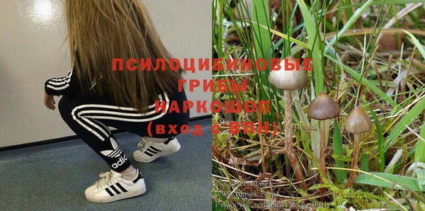 бошки Аркадак