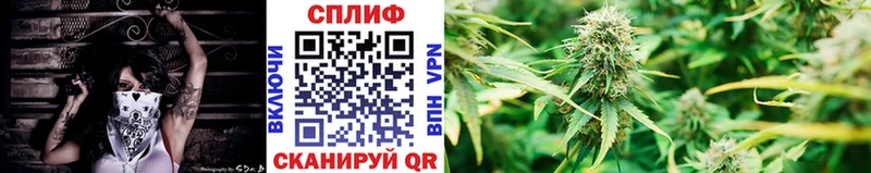 закладки  маркетплейс телеграм  Бошки марихуана OG Kush  Михайловка  мега вход 
